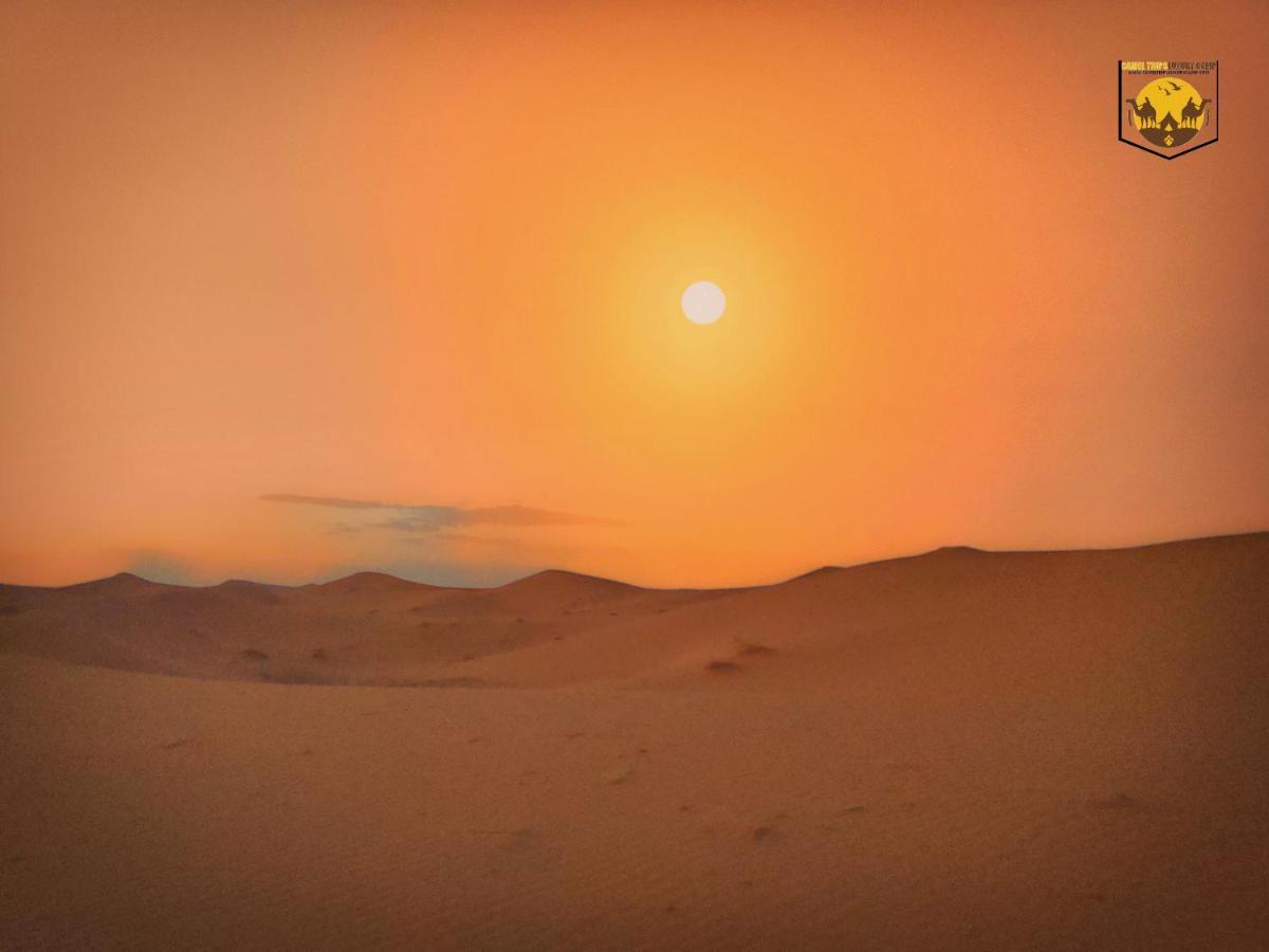 Camel Trips Luxury Camp Hotel Merzouga Bagian luar foto